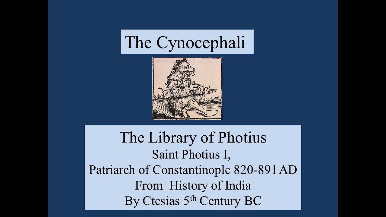 The Cynocephali by Ctesias 5th Century BC Library of Photius