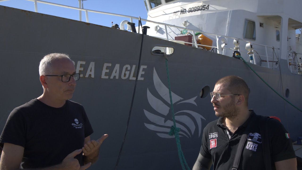 Sea Shepherd, intervista ad Andrea Morello