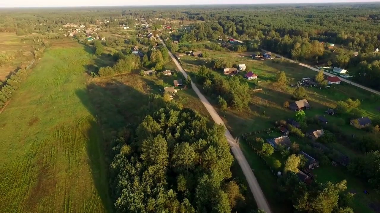 Дубица