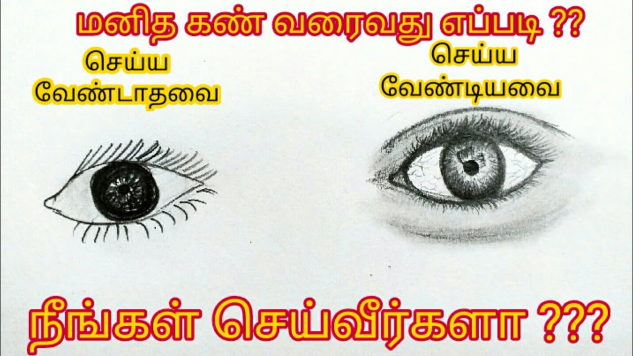 கண் வரைவது எப்படி | How to draw Eyes easily | Tamil drawing tutorials | Easy  for kids, Beginners