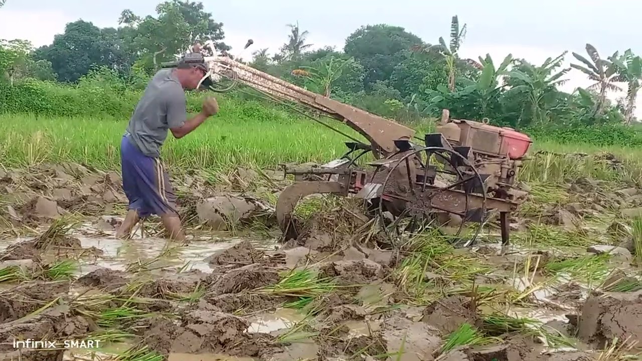 singkal lahan sawah traktor kubota boxer