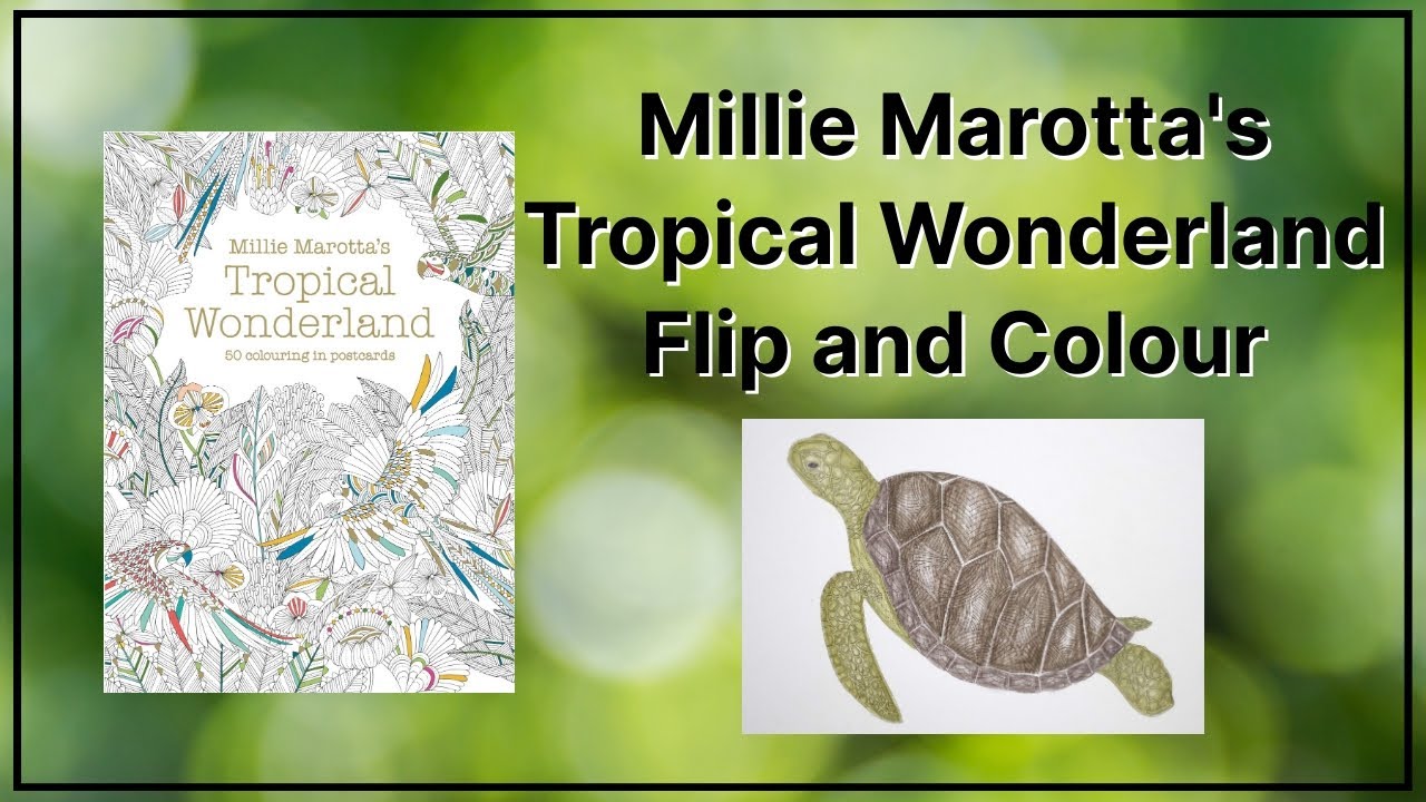 Adult Colouring Postcards Unboxing and Colour - Millie Marotta's Tropical Wonderland 50 Postcards