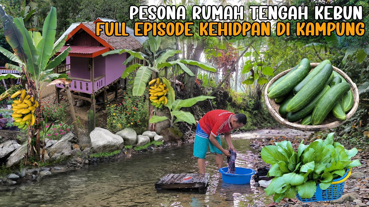 FULL EPISODE 3 TAHUN TINGGAL DI KAMPUNG RUMAH KEBUN HIDUP MAKMUR AIR MELIMPAH DAN SETIAP HARI PANEN