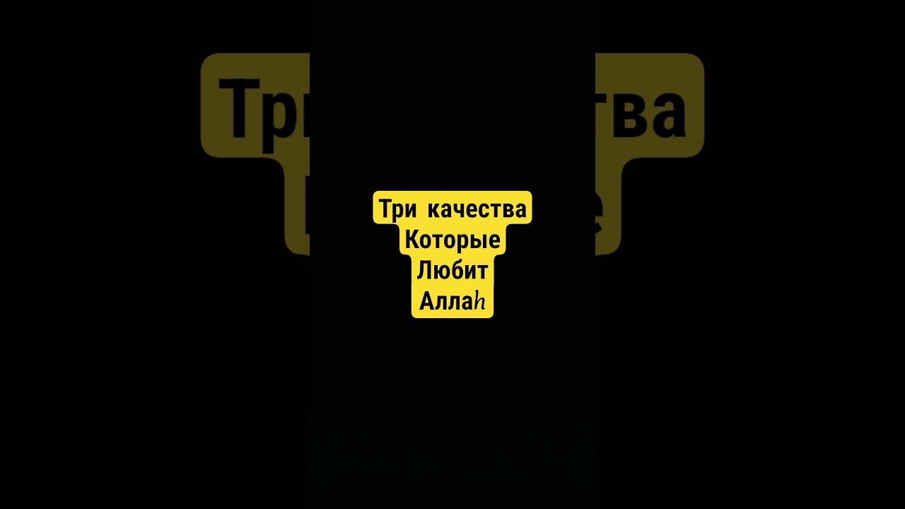 Три качества которые любит Аллаh.АбдурРазак Аль-Бадр #религия #напоминание #islam