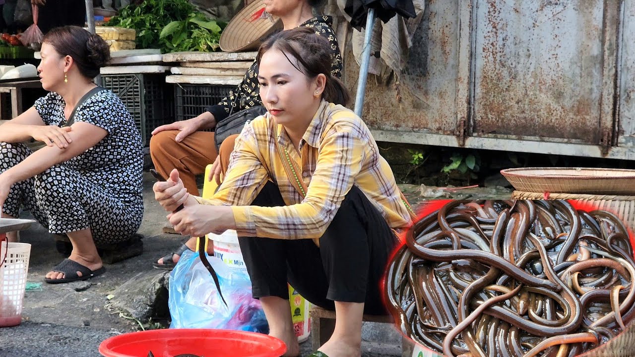 Saving a boy who was swept away by water - Harvest Eel go market sell - Girl Forest Life