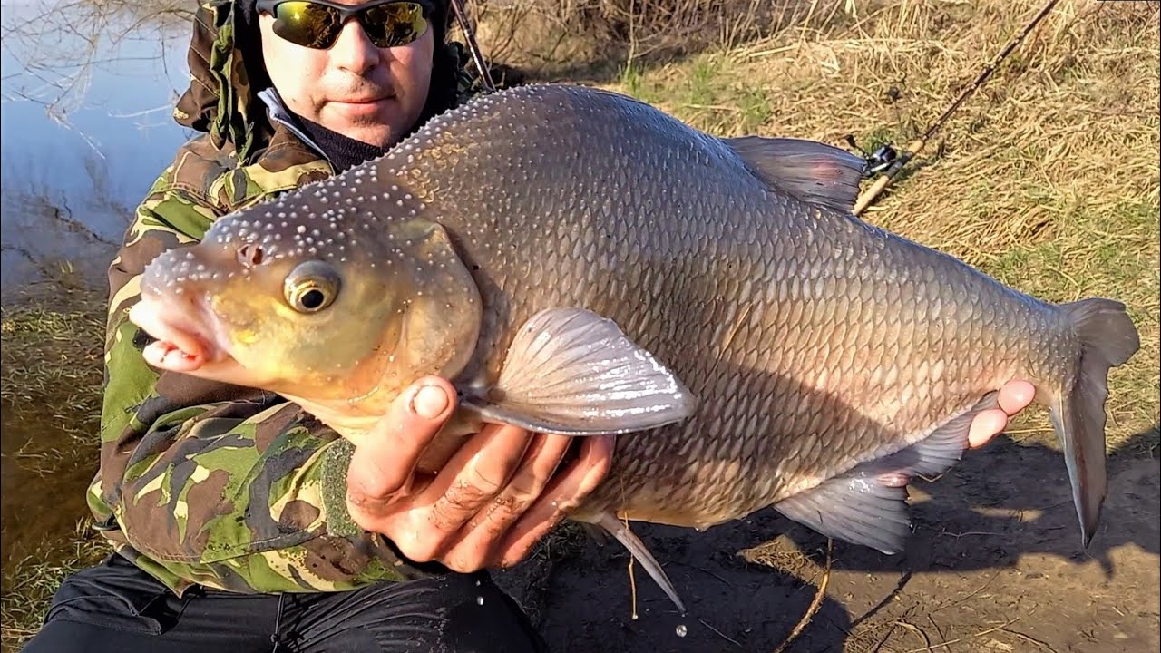 RZECZNY FEEDER | LESZCZ NA ZŁOTY MEDAL | WISŁA W WARSZAWIE | WĘDKARSTWO 2021| ODCINEK 6