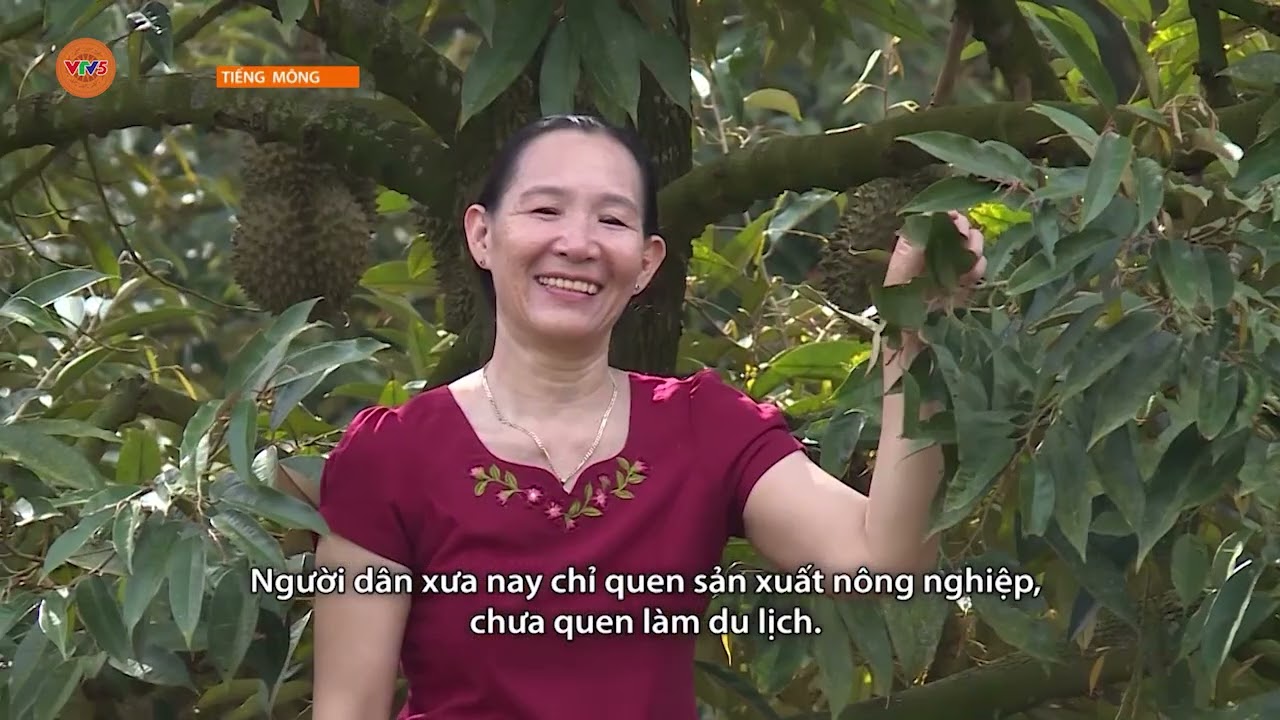 [TIẾNG MÔNG] TẠO SINH KẾ BỀN VỮNG TỪ DU LỊCH CỘNG ĐỒNG  | VTV5