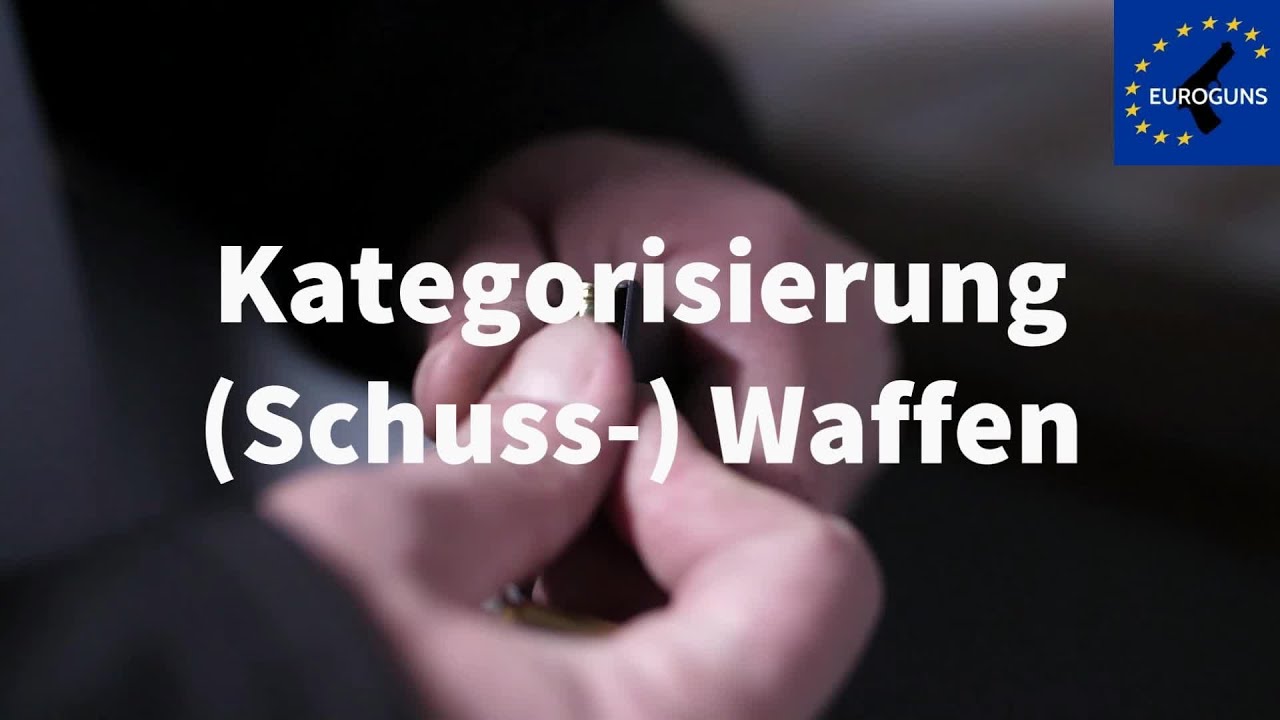 Waffengesetz: Zuordnung Kategorien
