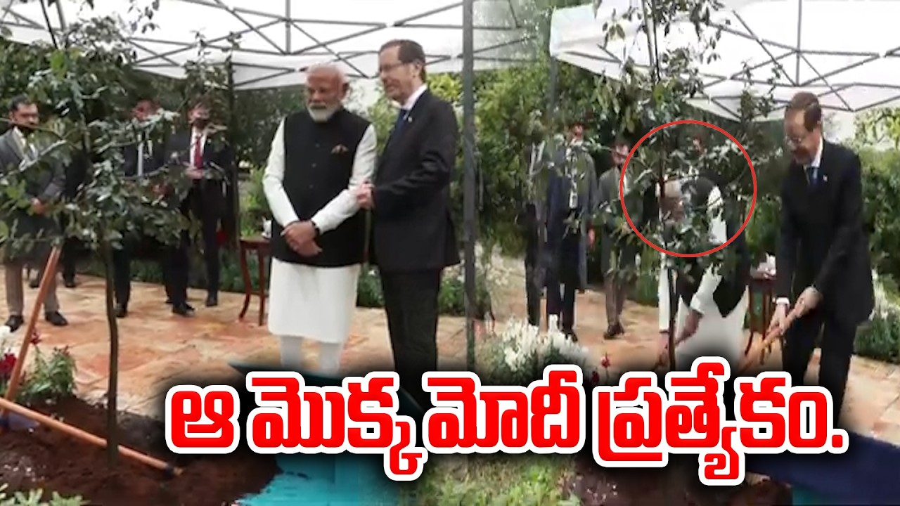 జ్రాయెల్ లో మొక్కలు నాటిన మన ప్రధాని  || Our Prime Minister planted saplings in Israel || Oka Maata