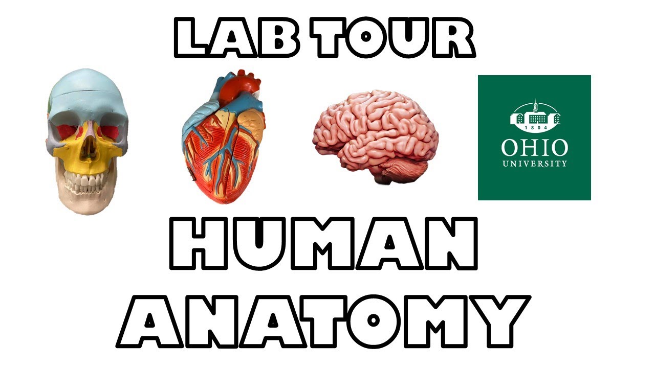 NEW ANATOMY LAB TOUR
