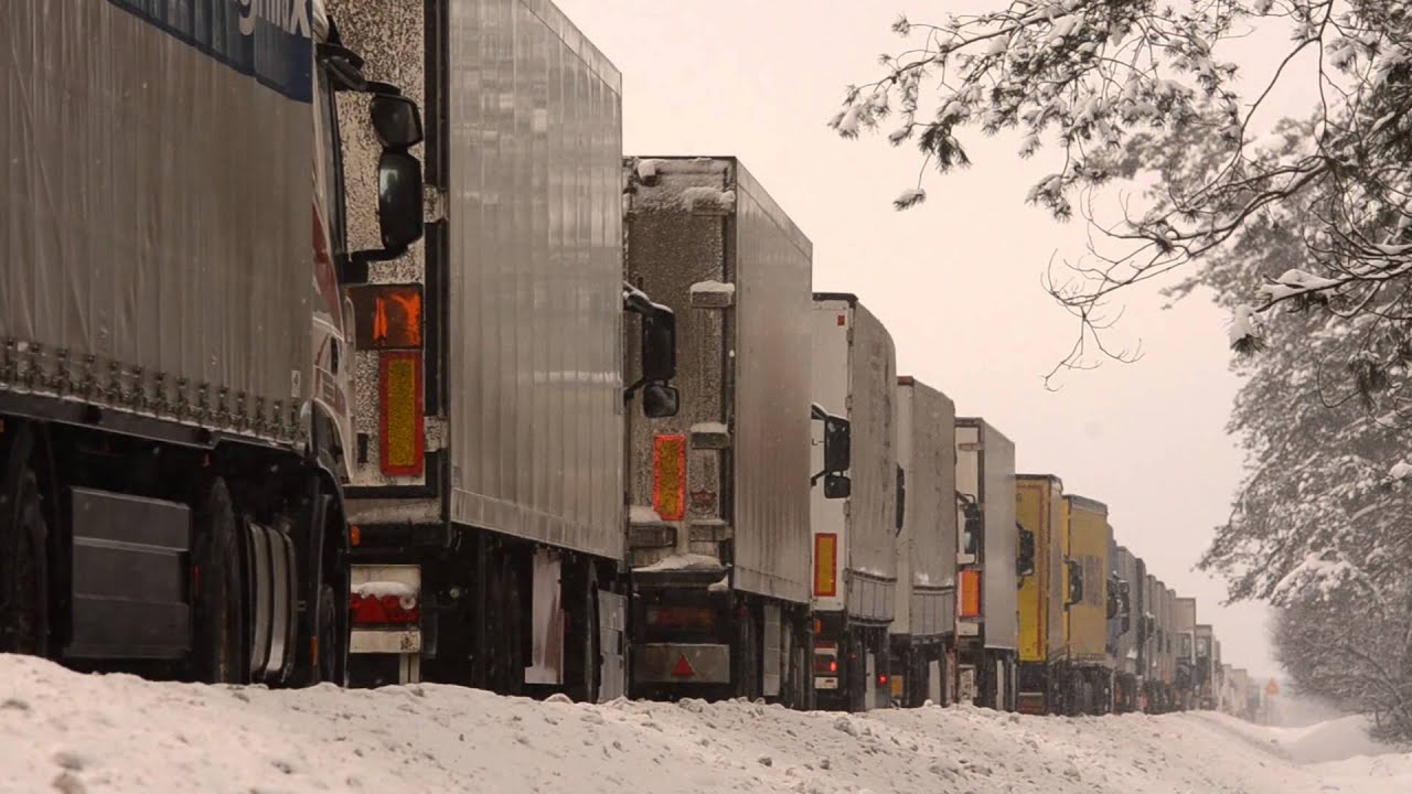 800 tirów czeka w kolejce do Koroszczyna - www.pulsmiasta.tv