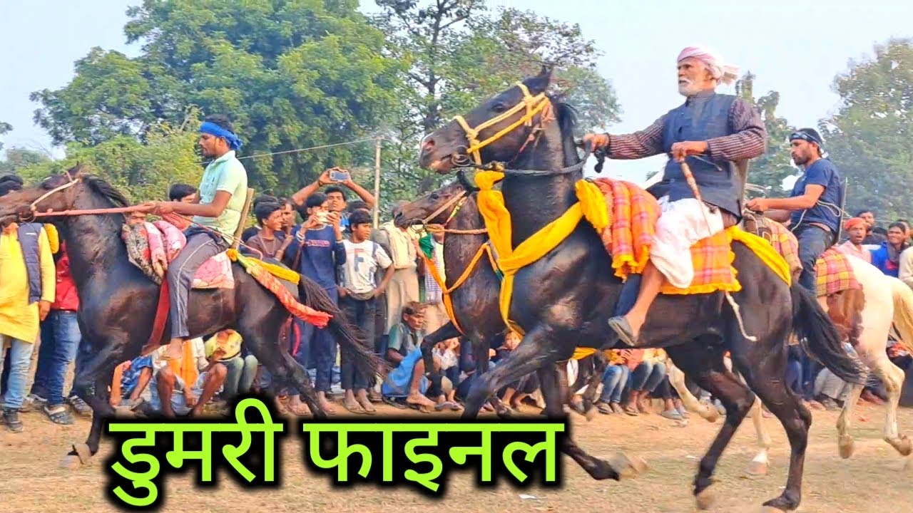 डुमरी फाइनल में कृष्णानंद पांडे आरा का घोड़ा बना विजेता मेघु का जलवा कायम