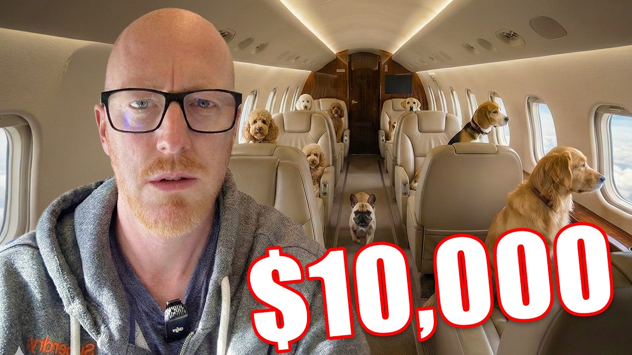 The $10,000 Airline Ticket... For a Dog