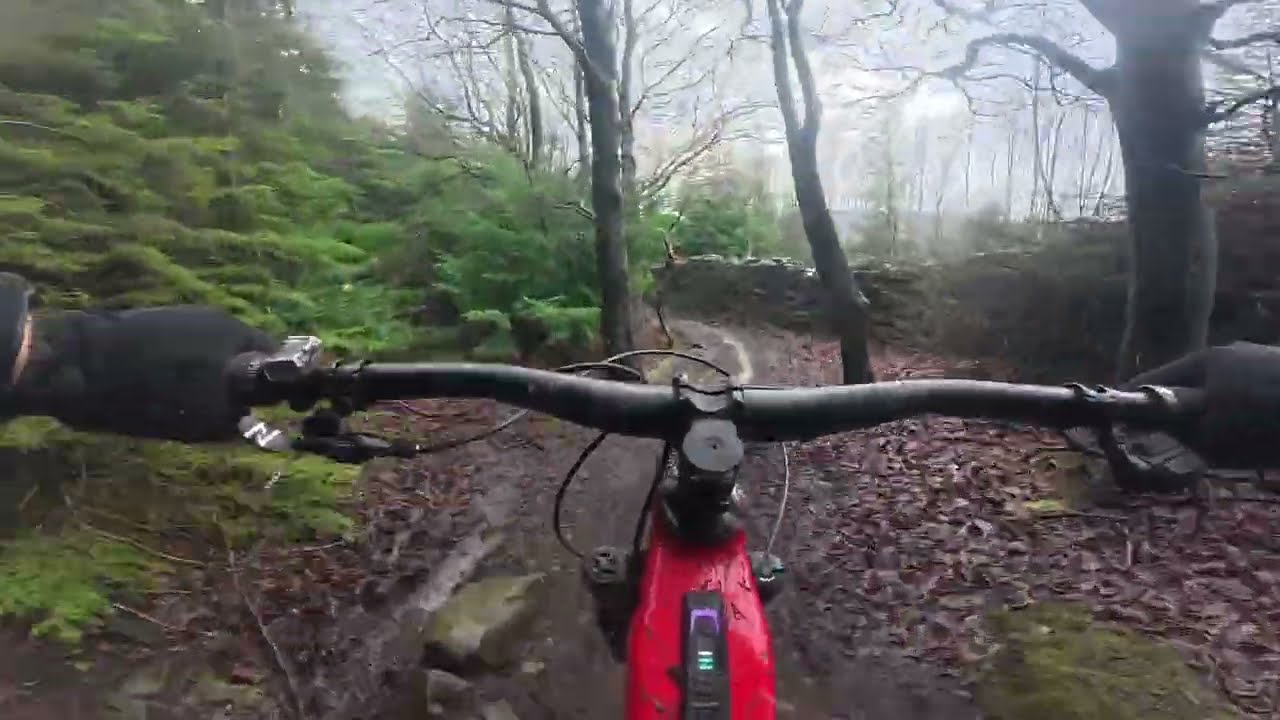 Hamsterley Forest…….again | Same trails different way round | Norco Range VLT A1