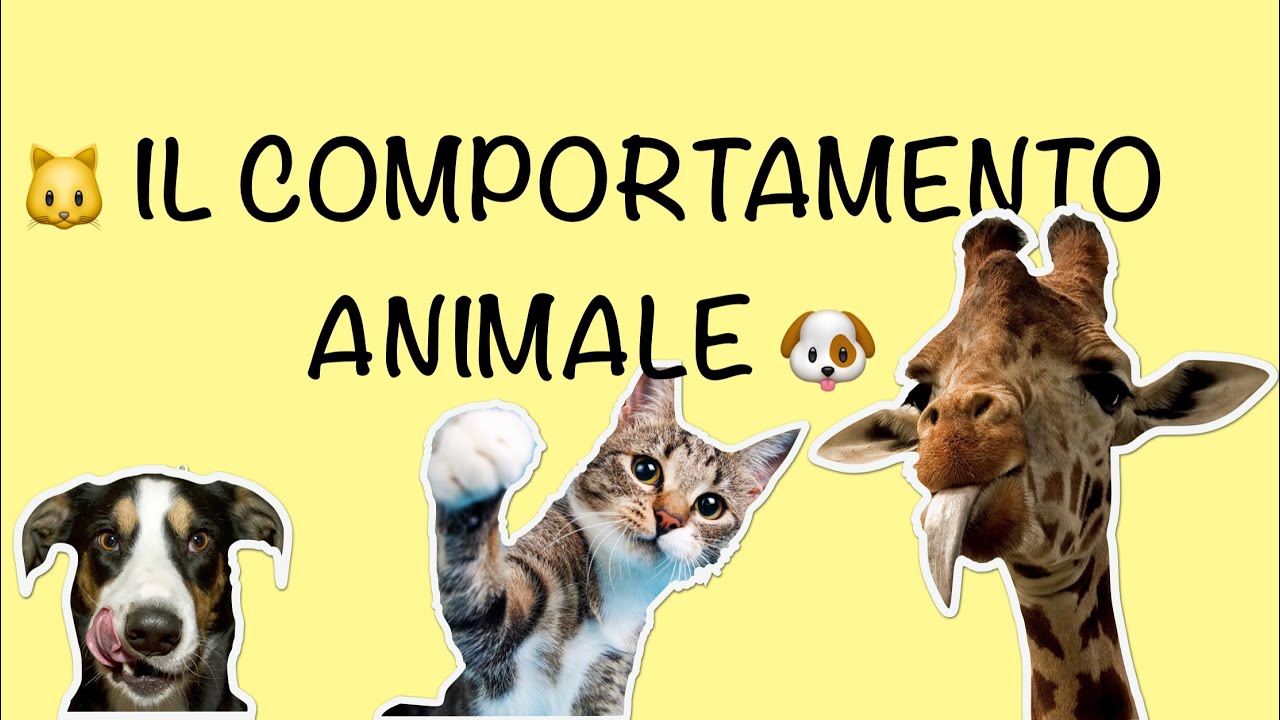 Il comportamento animale - etologia, imprinting, Konrad Lorenz