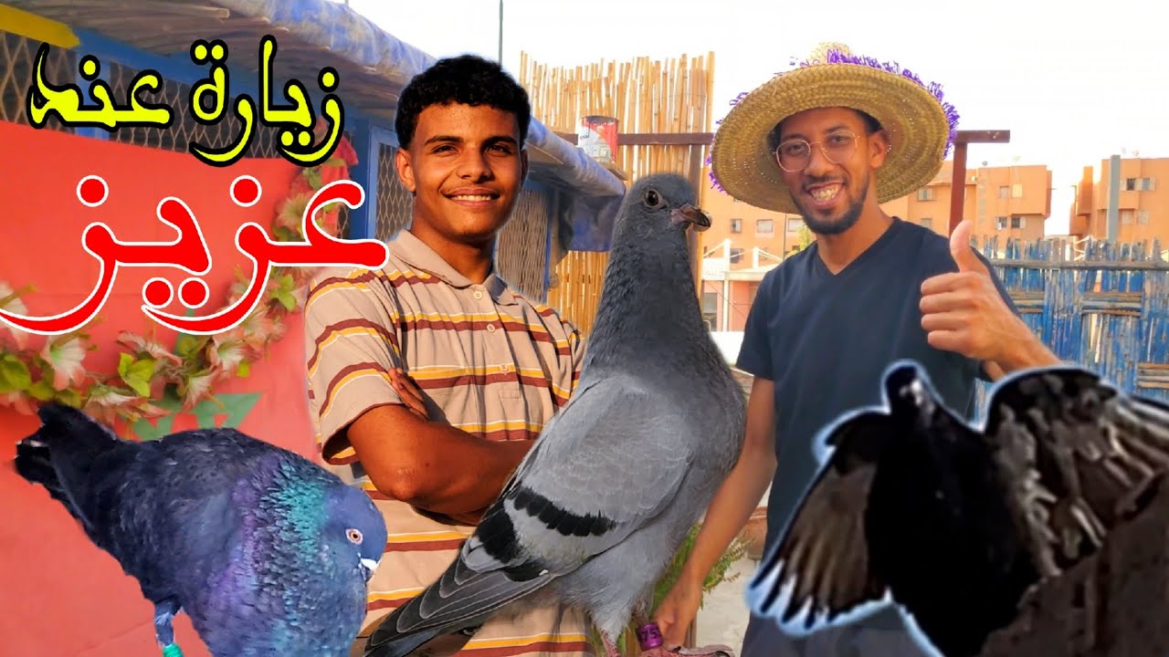 زيارة عند عزيز / مولوع حمام الفعل المراكشي و حمام السيفيانوس المغربي 😁✅️