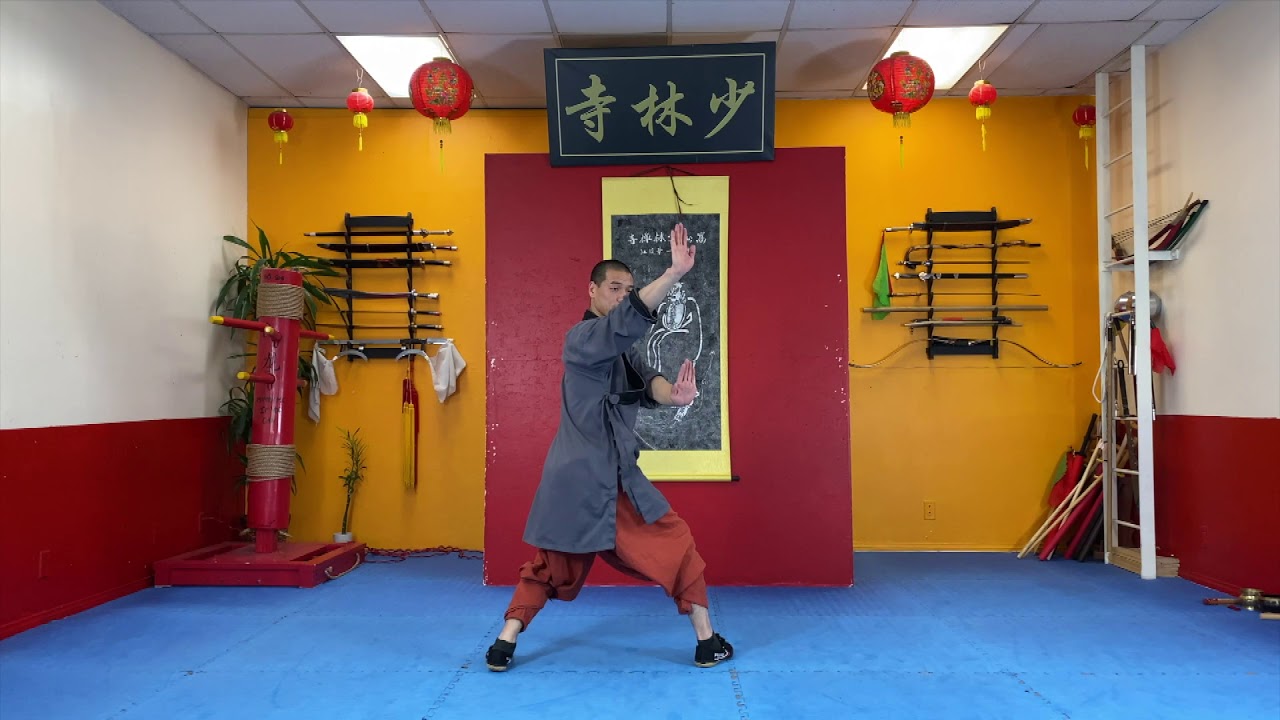 Basic Movement & Kick  - Blue Belt