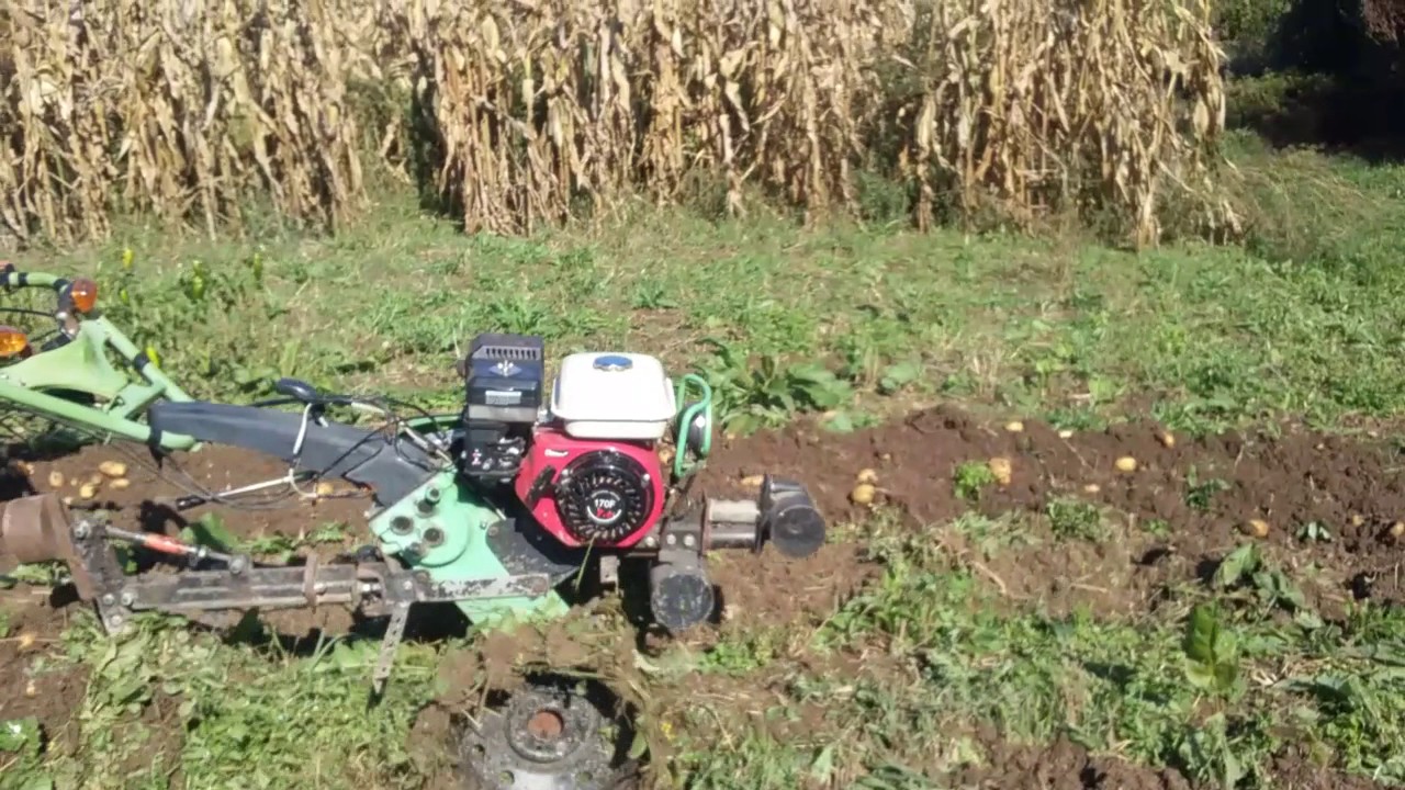 Cu motosapa WM500 ZS 500 B-3 de 7cp transmisie din fonta.( La scos de cartofi ).