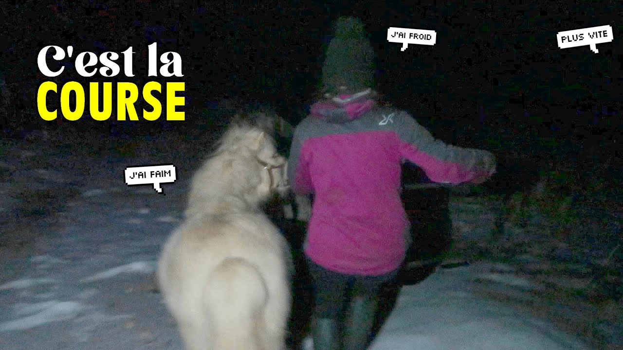 On finit la JOURNEE sous une tempête de NEIGE (*habituel* 😂)