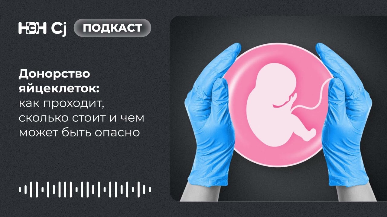 Донорство яйцеклеток: как проходит, сколько стоит и чем может быть опасно