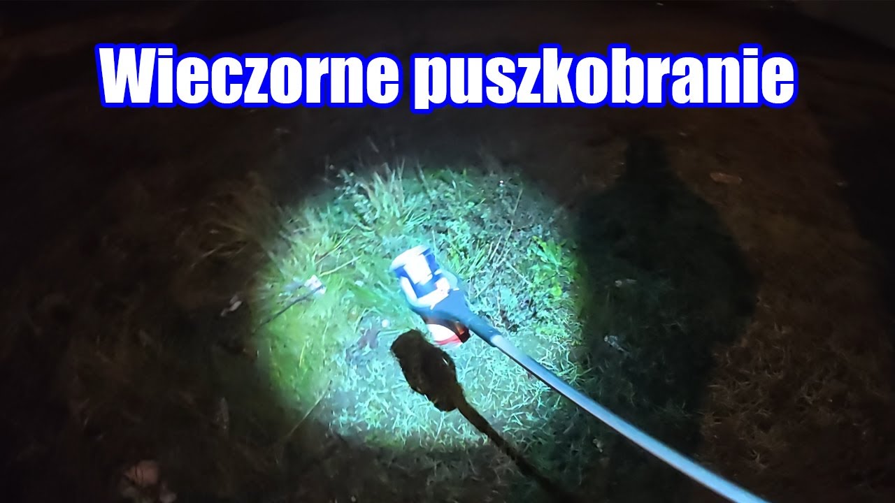 Na zbieranie pieniędzy, nigdy nie jest za ciemno.