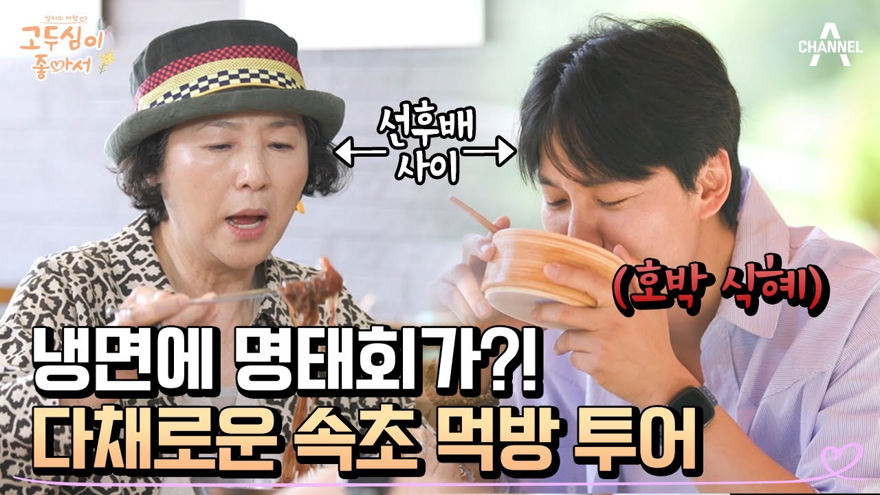 [#고두심이좋아서] 보양식부터 디저트까지♬ 고두심과 김남길의 속초 먹방 코스는? | 엄마의 여행 고두심이 좋아서 66 회