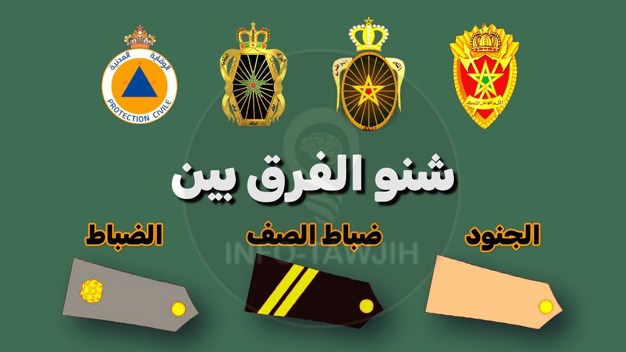 ما هو الفرق بين الضباط، ضباط الصف، الجنود؟