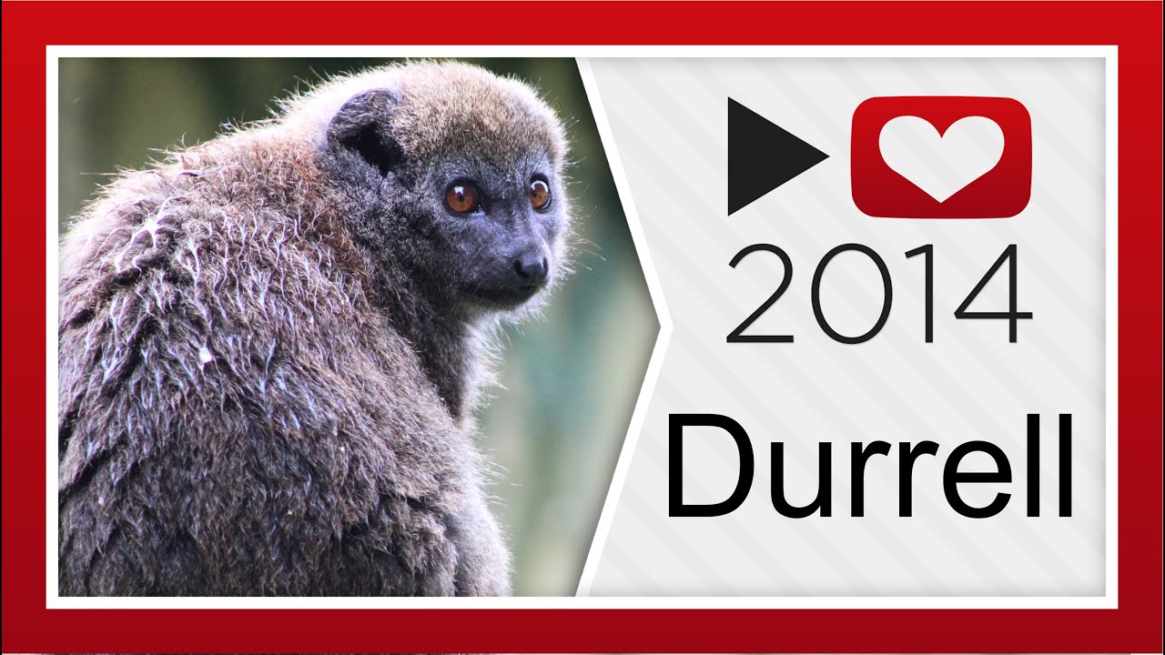 Durrell - #P4A2014 - Saving species from extinction