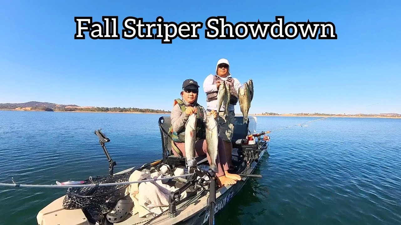 INSANE Striper Action at New Hogan Lake! Nonstop Hookups!
