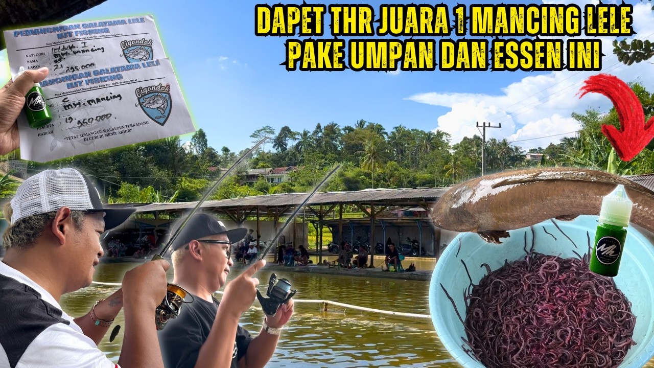 ESSEN WALANG MELON MH MANCING + UMPAN ALAM BIKIN JUARA DI GALATAMA LELE