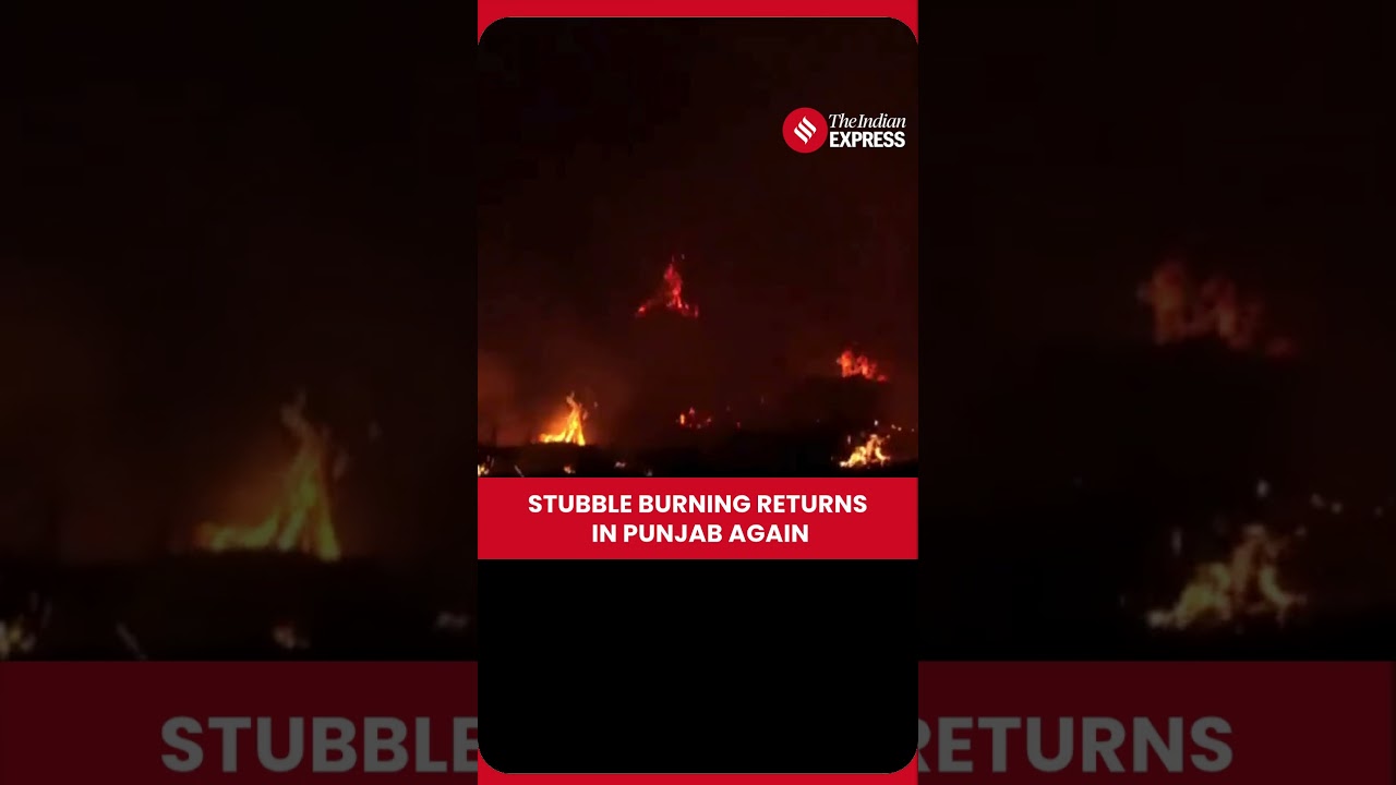Stubble Burning Returns in Punjab&rsquo;s Tarn Taran: Thick Smoke Covers Sarhali Village