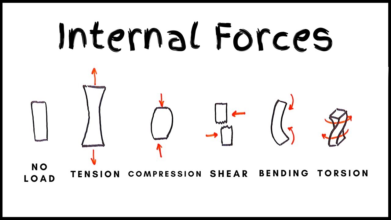 Internal Forces