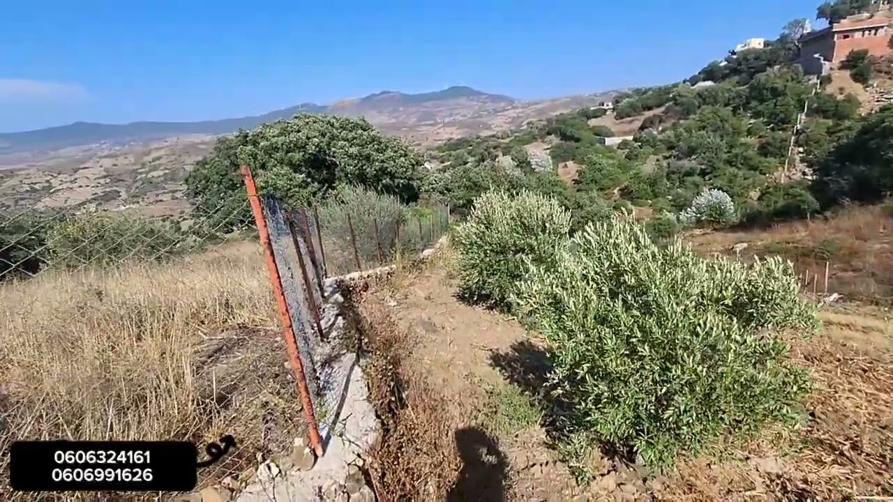 قطعة ارضيه ملكية فيها دار بلدية 1547متر واصلا الماء والكهرباء والطريق نواحي ملوسة [الزميج ]
