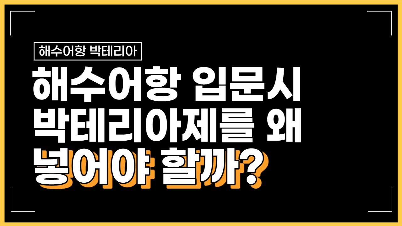 해수어 입문 쉽게 해봐요 