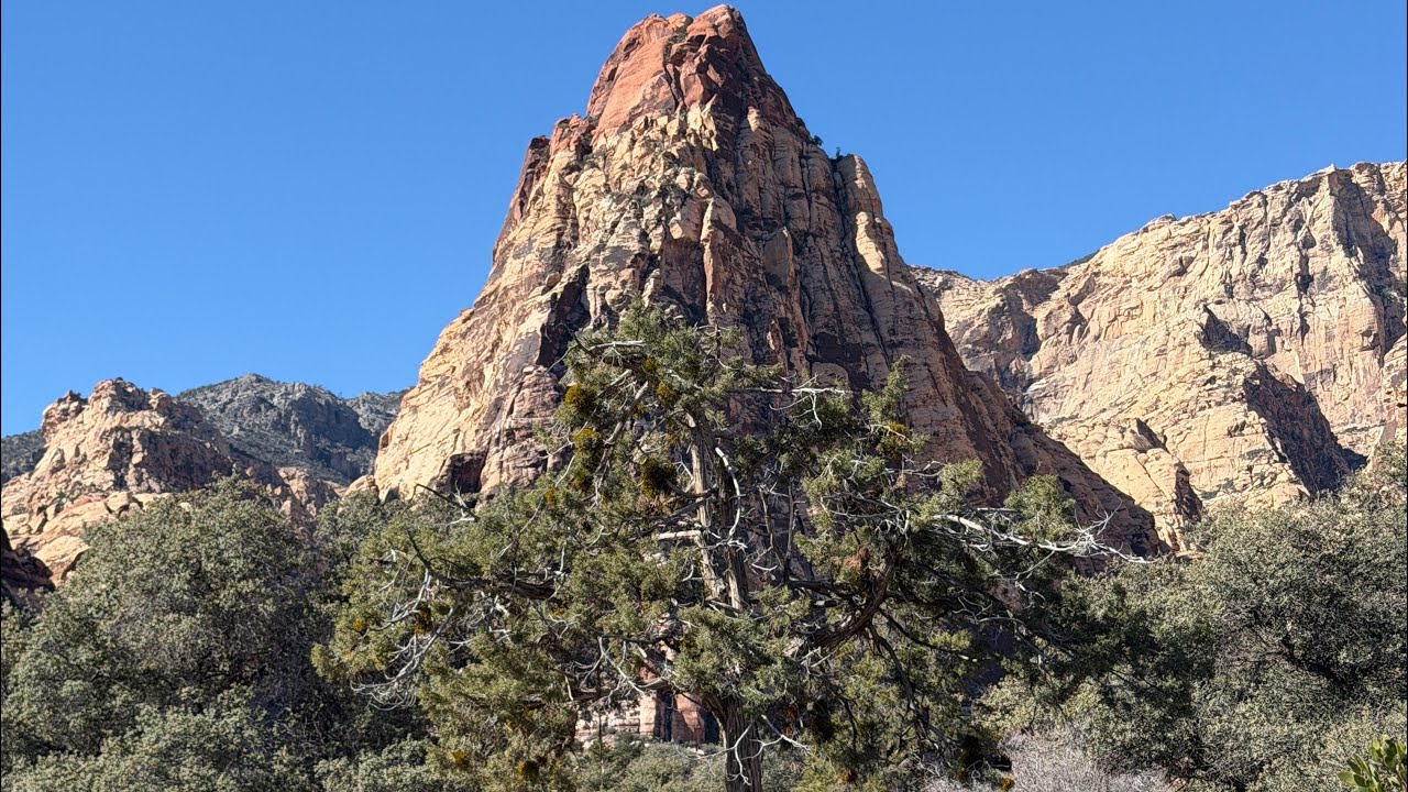 Wilson Homestead and Skull Rock 