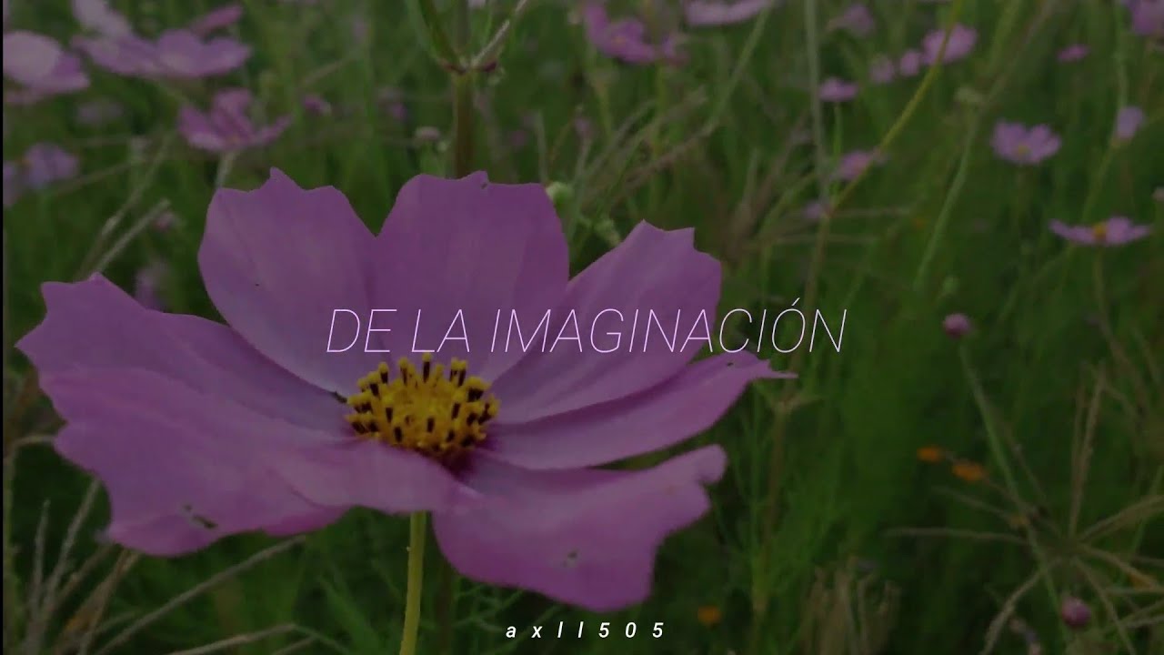YoSoyMatt - La Ni&ntilde;a del Volc&aacute;n (Polocorp Remix) (Lyrics) (Sub Espa&ntilde;ol)