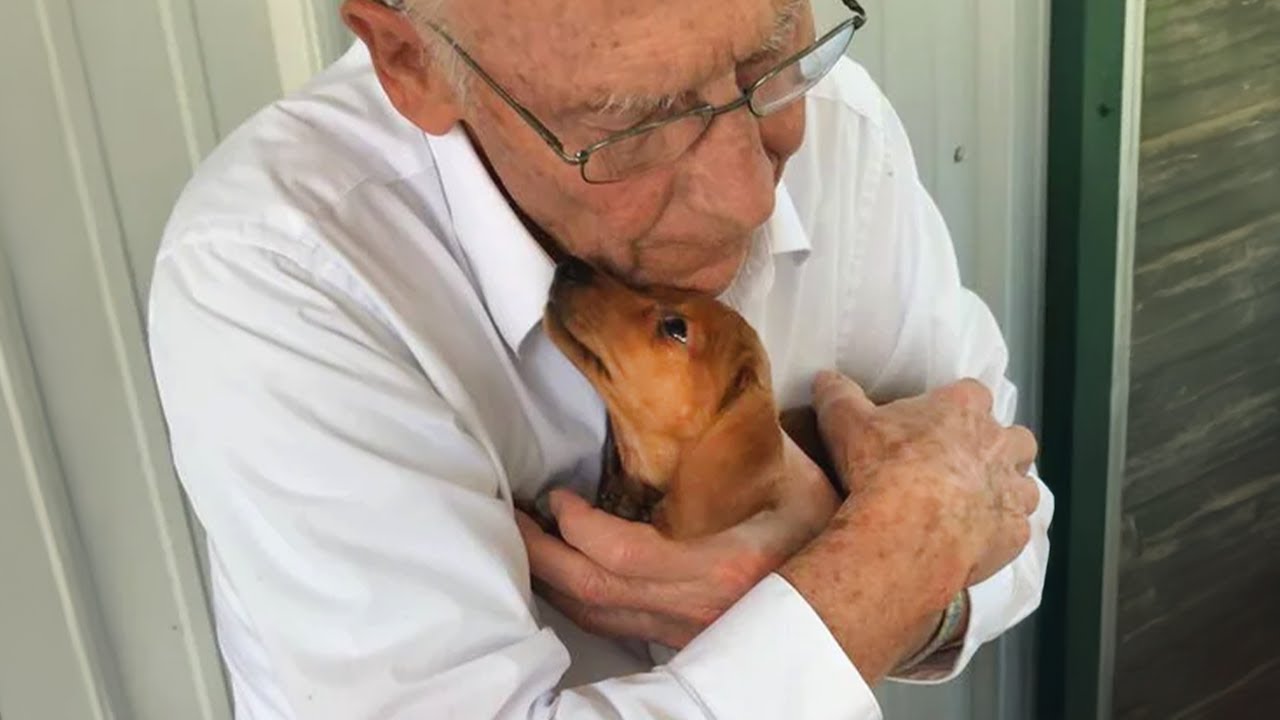 These Dogs Weren&rsquo;t Wanted&hellip; Until They Became Dad&rsquo;s Favorite Child 🤣