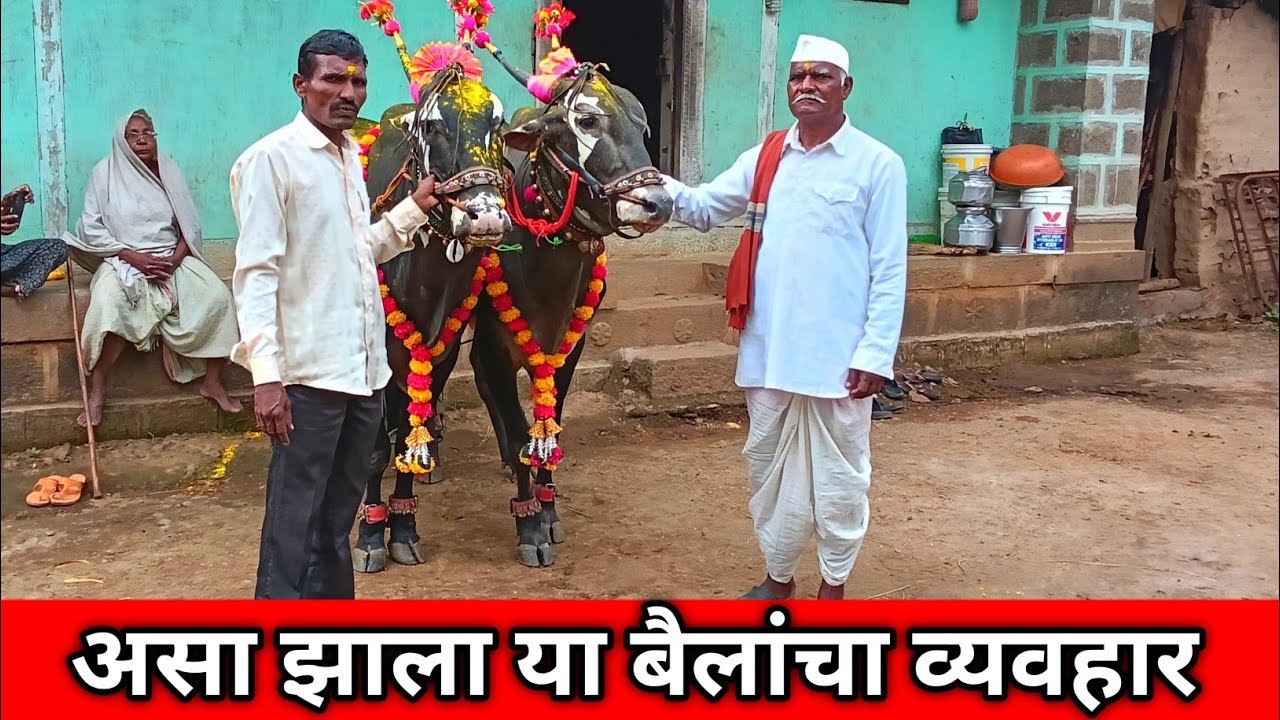 असा झाला या बैलांचा व्यवहार/ram aditya marathi blog#villaglife
