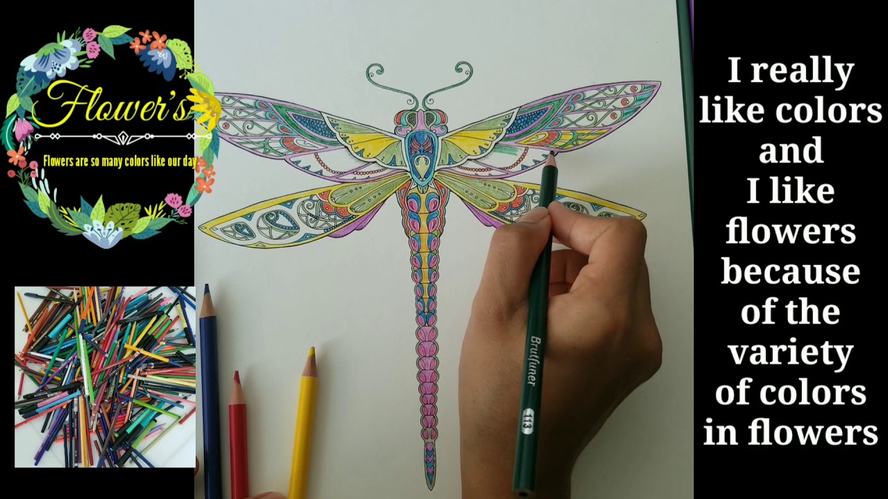 Coloring Book Enchanted Forest | Coloring Therapy