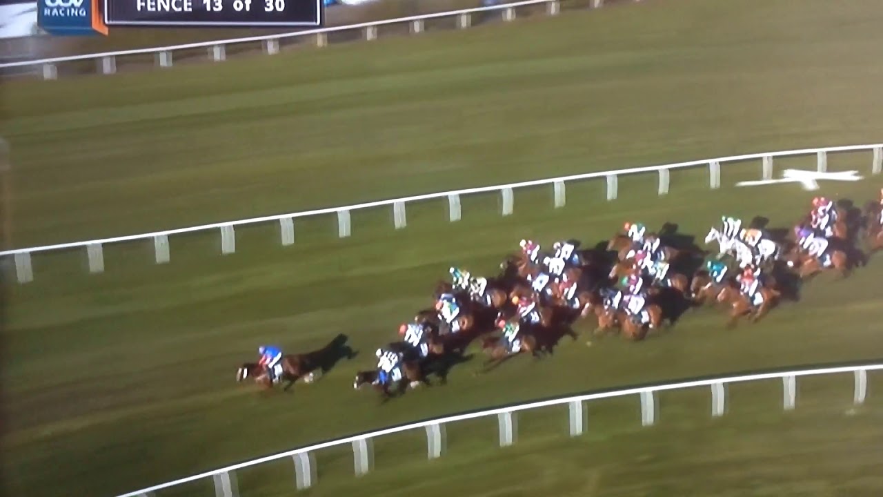 Grand national 2019 tiger roll. Amazing win