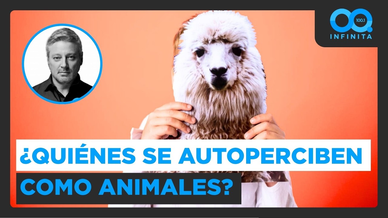 “Cuesta entenderlo”: Análisis sobre el fenómeno de los 