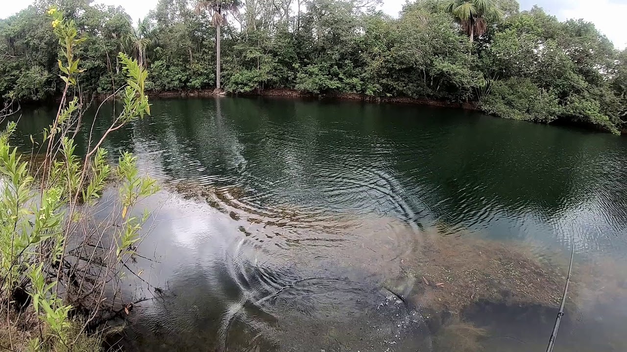 Laguna Pato Real, San Mart&iacute;n de los Llanos.
