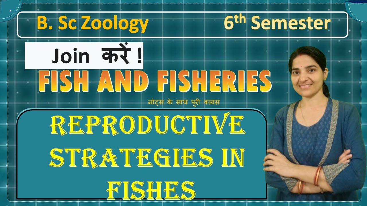 Reproductive Strategies in Fishes | B.Sc. Zoology 6th Semester| Fish & Fisheries |DSE-3