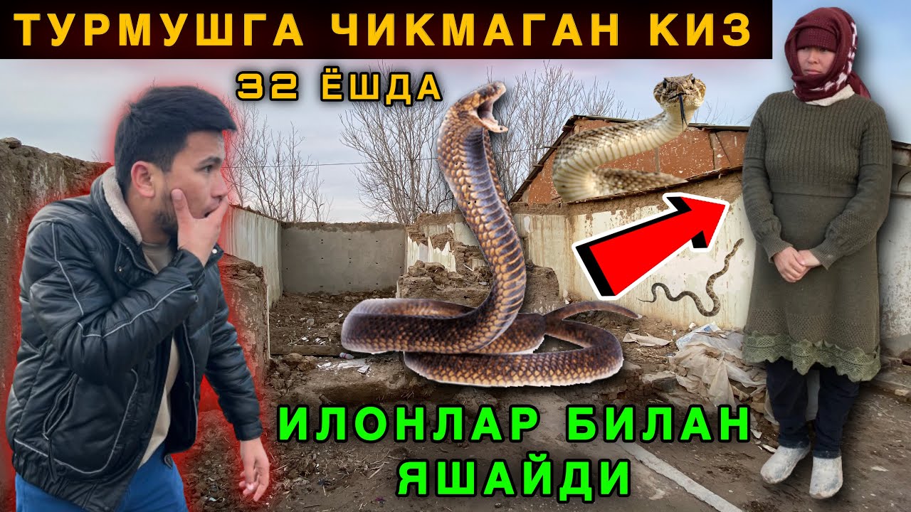 😱 Дахшат. Нега 32 Ёшли Қиз Турмушга Чиқмай Илонлар Билан Яшаяпти. Сирлар Очилди