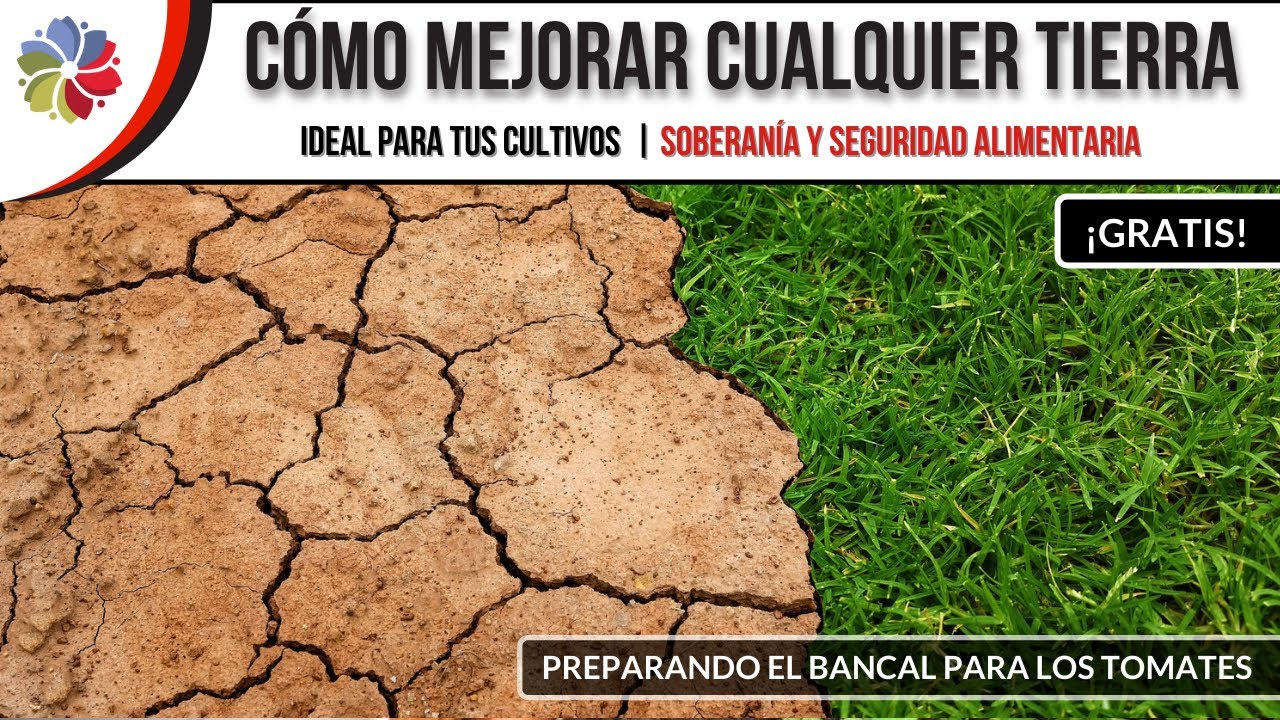 🌱 Cómo MEJORAR TIERRA ARCILLOSA Y COMPACTADA GRATIS | (Preparando el bancal de Tomates)