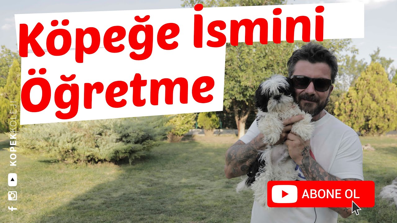 Köpeğe İsmini Öğretme