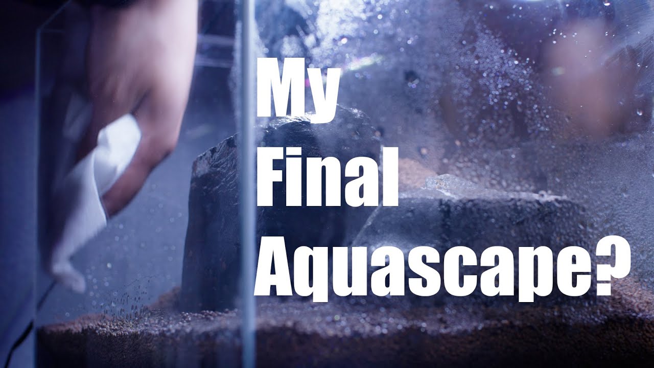 My Final Aquascape? -  How to Aquascape IWAGUMI