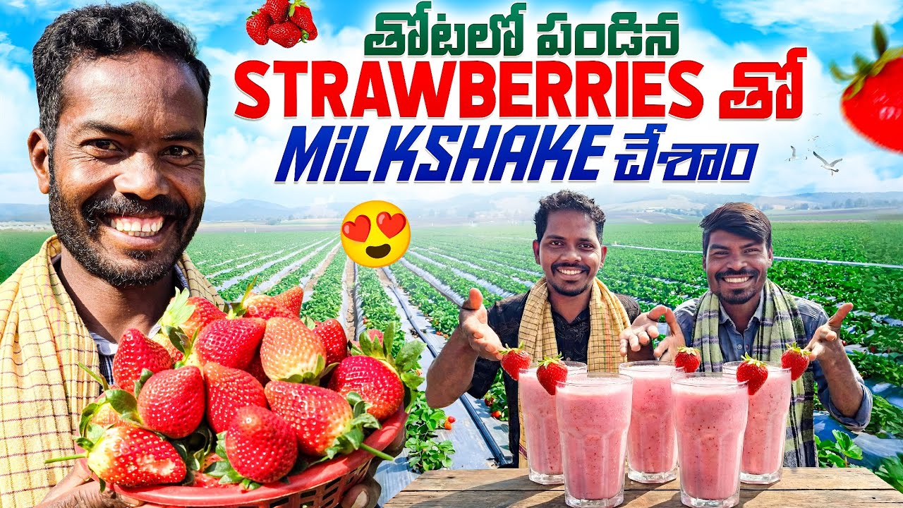 Strawberry Milkshake 🍓 స్ట్రాబెర్రీలతో Milkshake తయారుచేశాం 😝 Araku Tribal Cooking