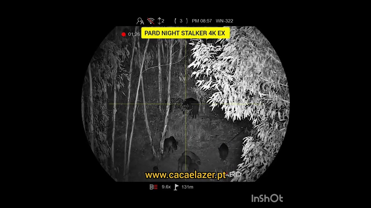 PARD NIGHT STALKER 4K EX - Javali 130mt