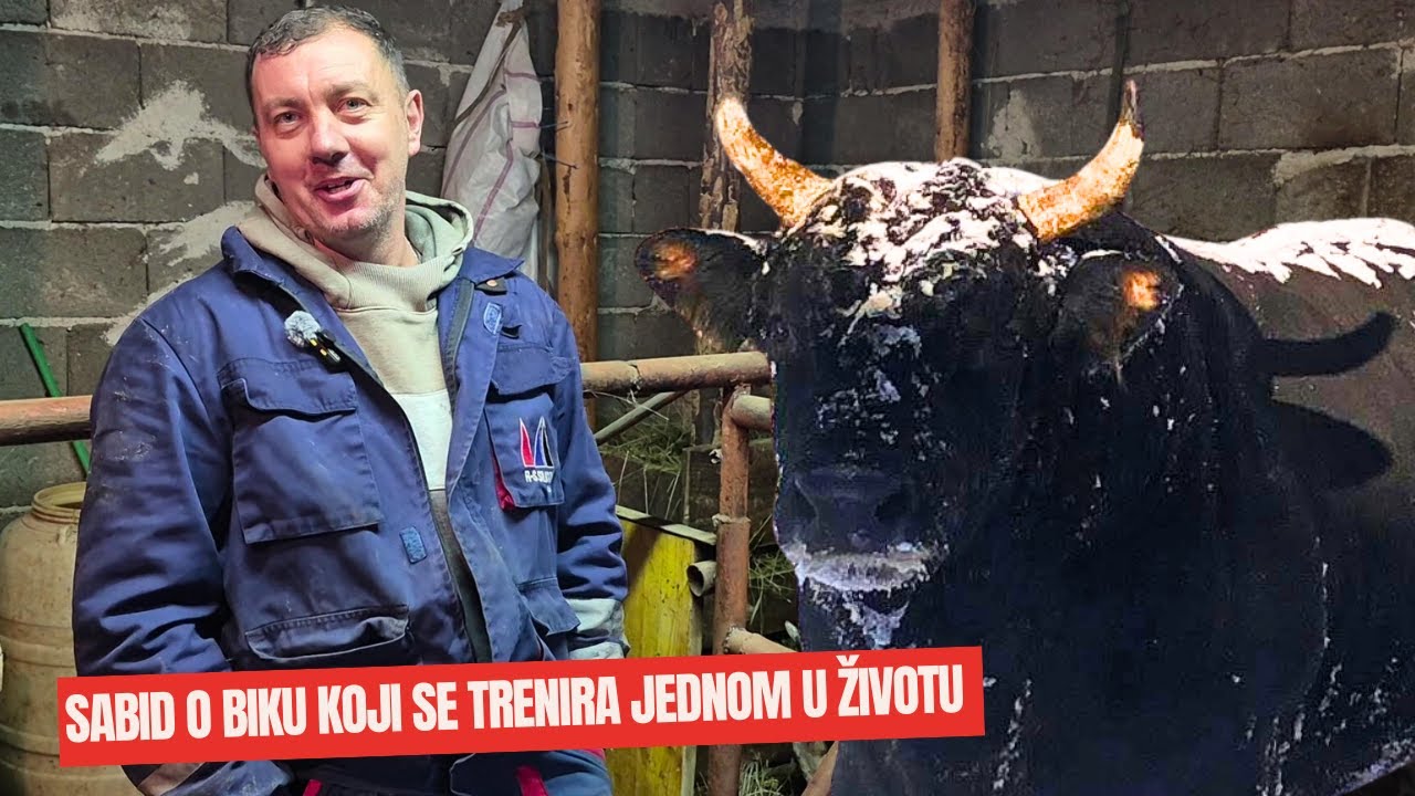 Sabid Pivolić 25 godina trenira bikove